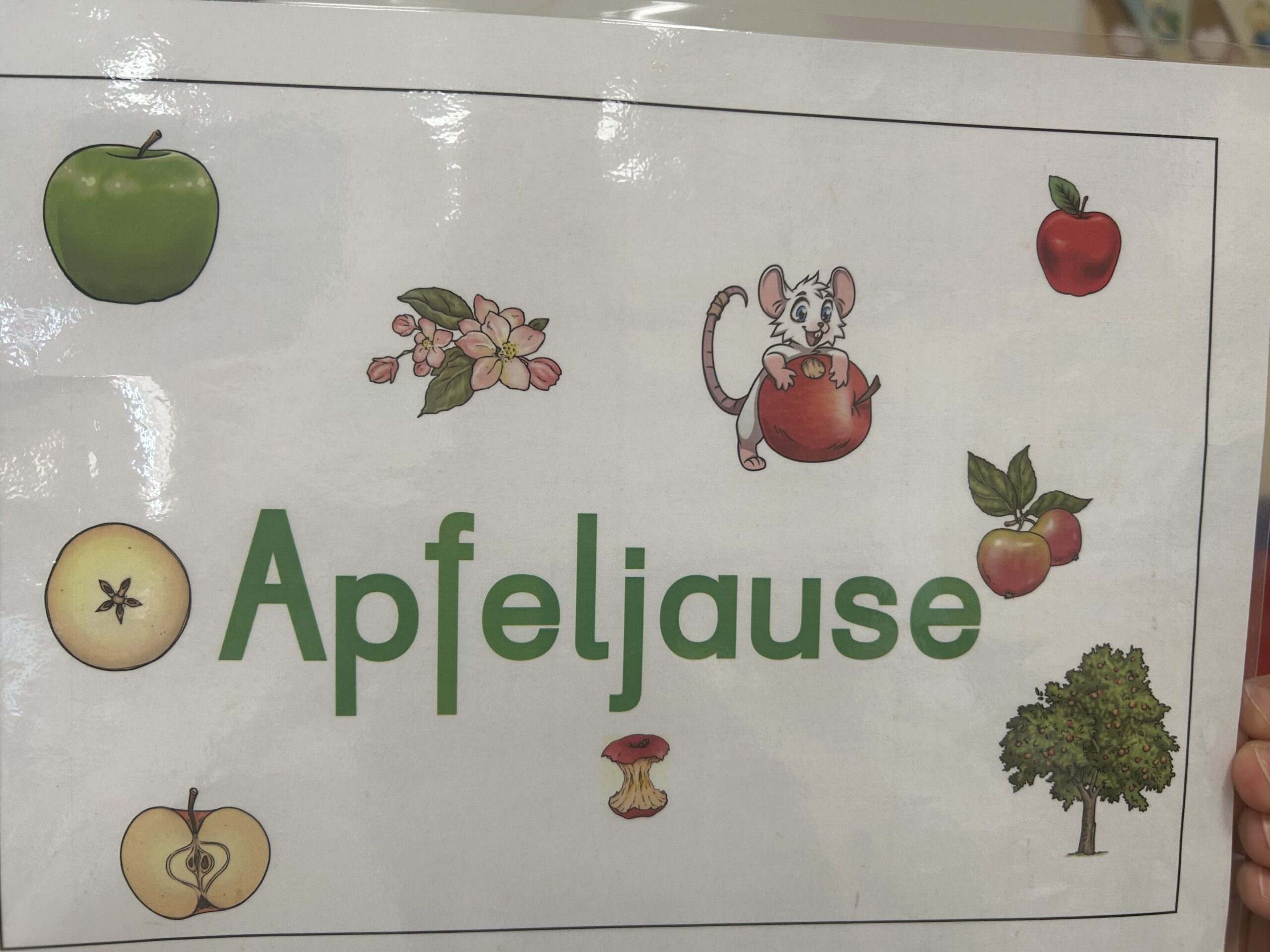 Apfeljause