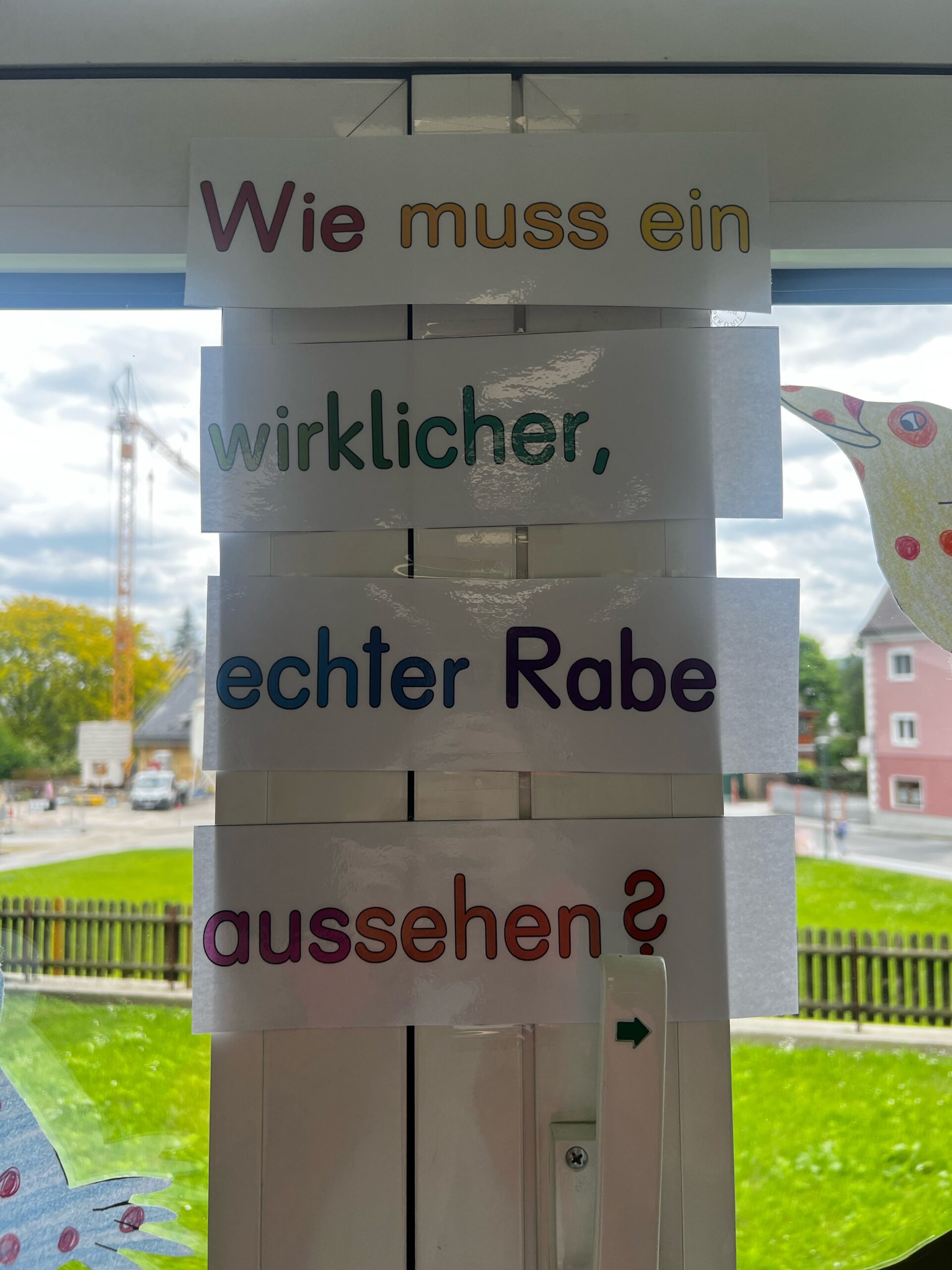 Rabe