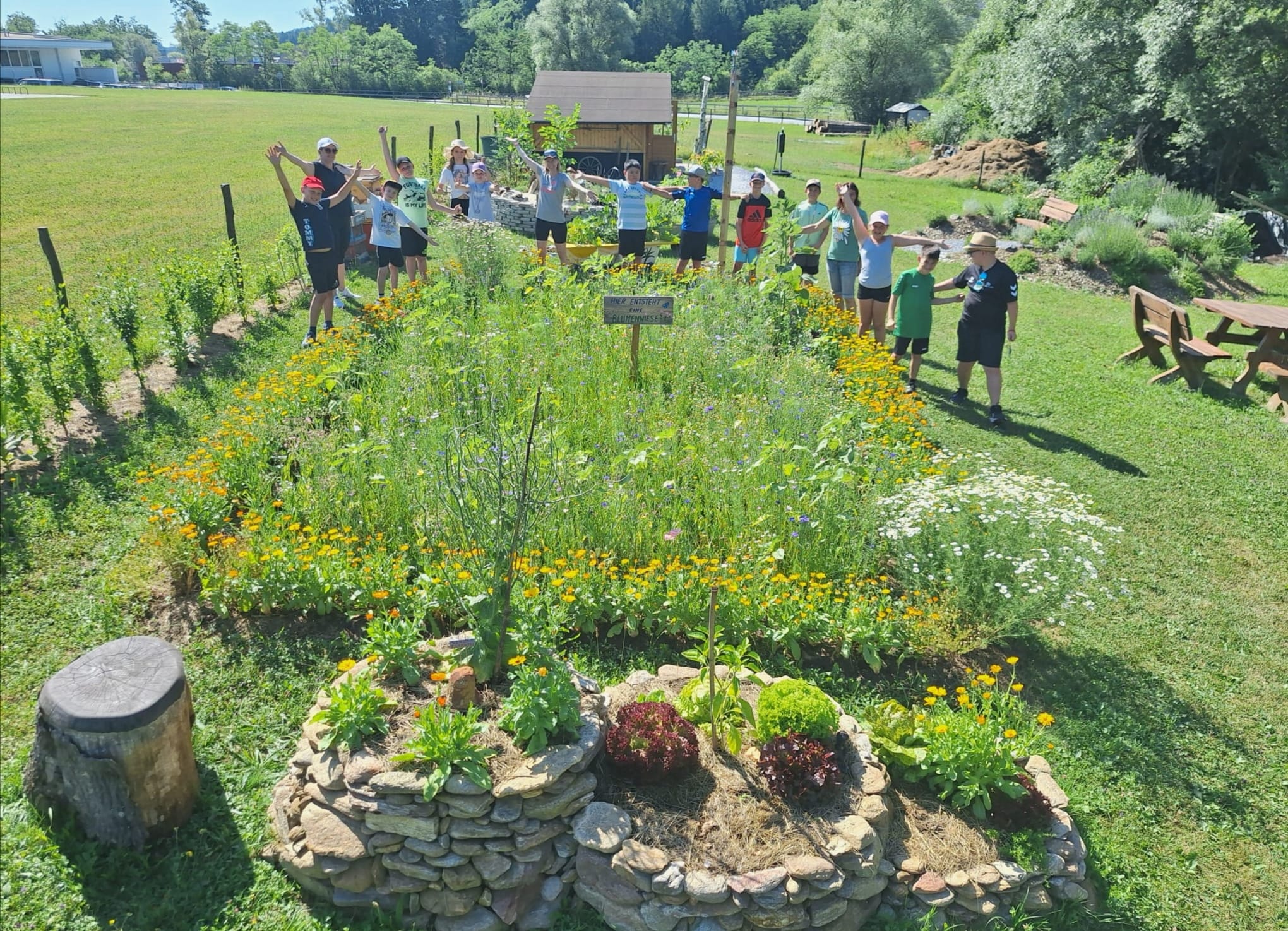 Gemeinschaftslehrgarten